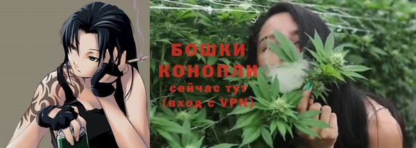 шишки Кукмор