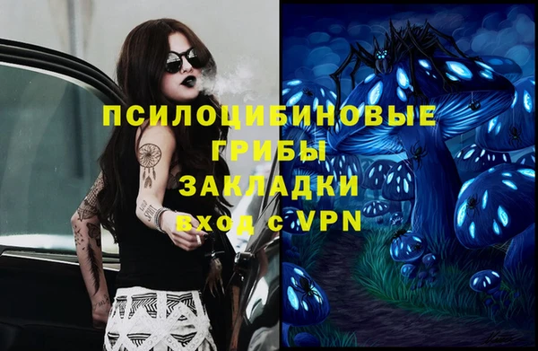 шишки Кукмор