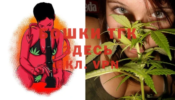 амф Вяземский
