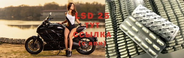 амф Вяземский