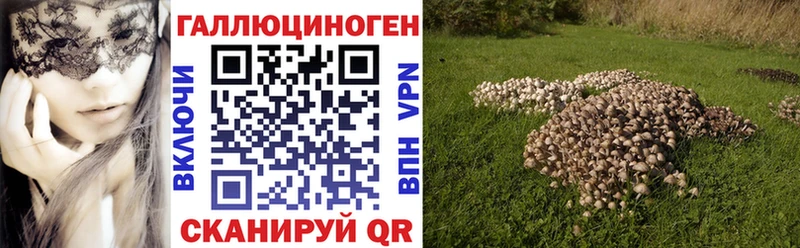 где купить Острогожск Галлюциногенные грибы ЛСД
