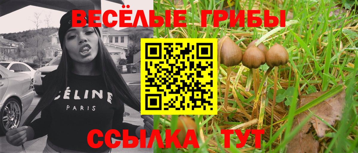 Острогожск  Псилоцибиновые грибы MAGIC MUSHROOMS  продажа наркотиков  Вход с VPN 